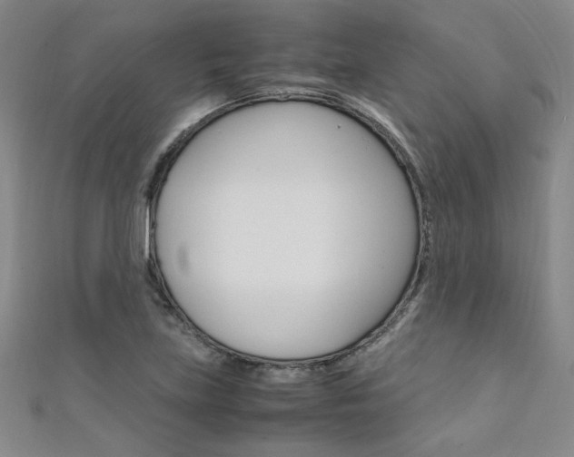 X0000111651219200907171052