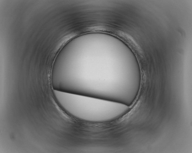 X0000111651225200907171052