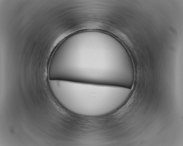 X0000111651226200907171052