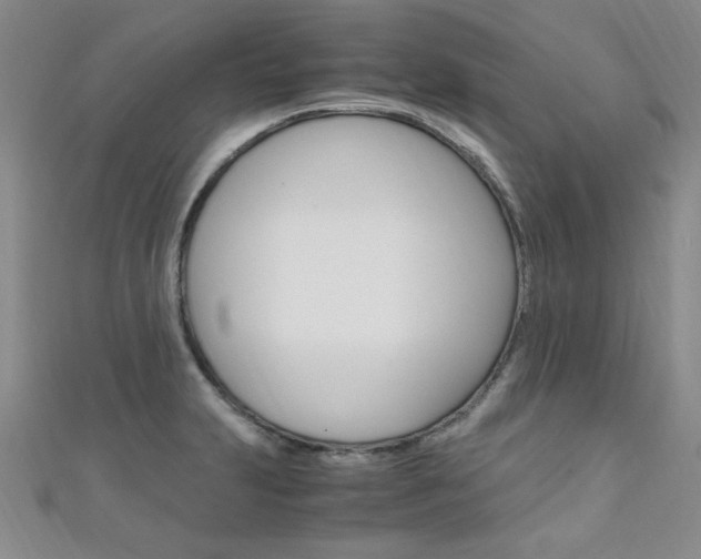 X0000111651231200907171052