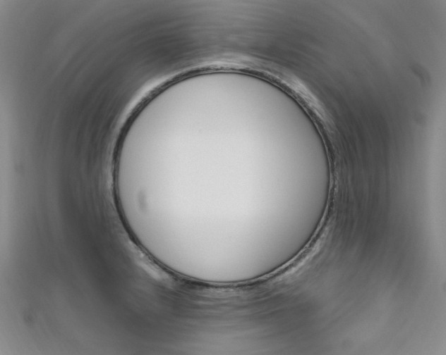 X0000111651232200907171052