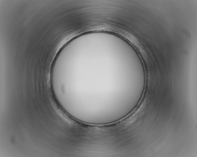 X0000111651234200907171052
