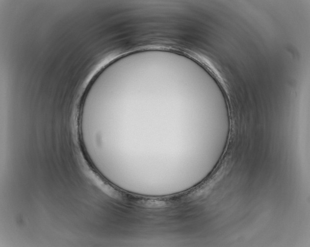 X0000111651235200907171052