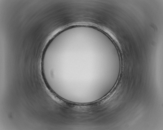 X0000111651237200907171052