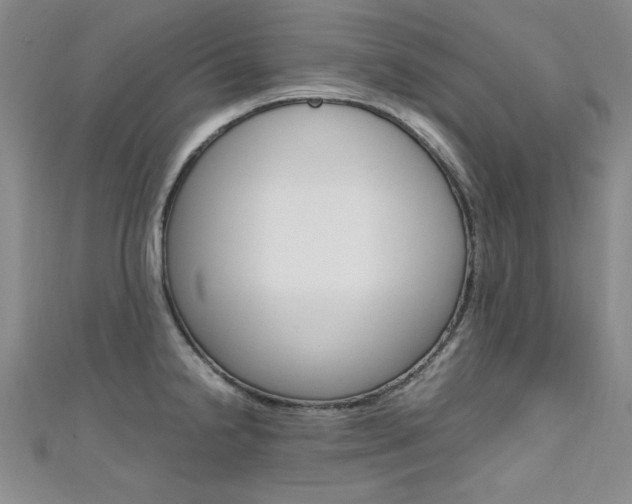 X0000111651238200907171052