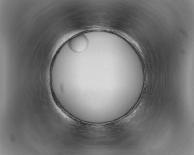 X0000111651239200907171052