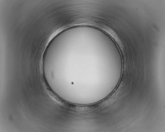 X0000111651242200907171052