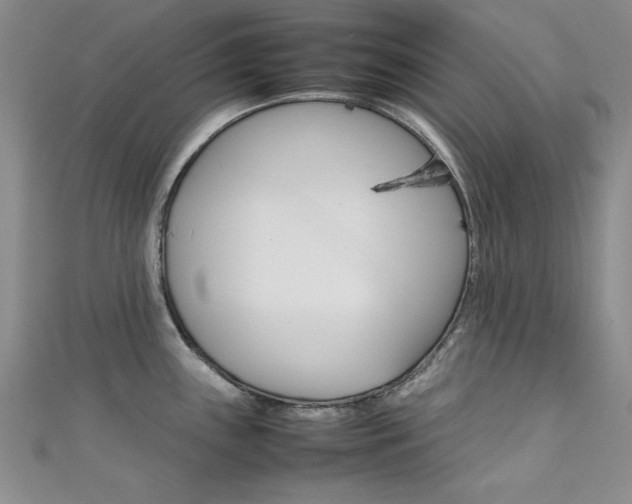 X0000111651243200907171052