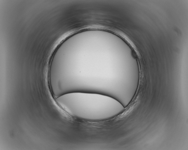 X0000111651245200907171052