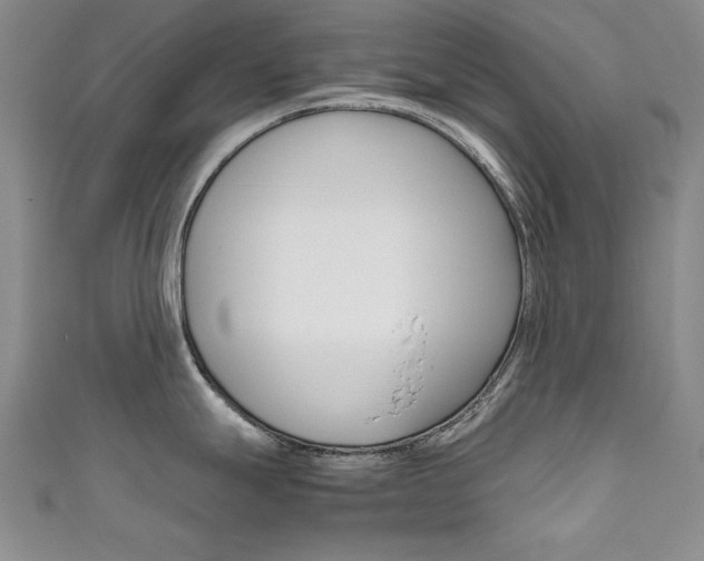 X0000111651247200907171052