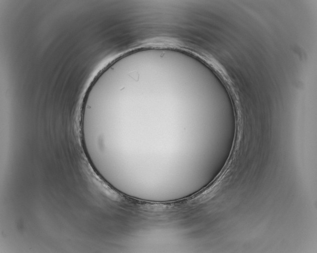 X0000111651248200907171052