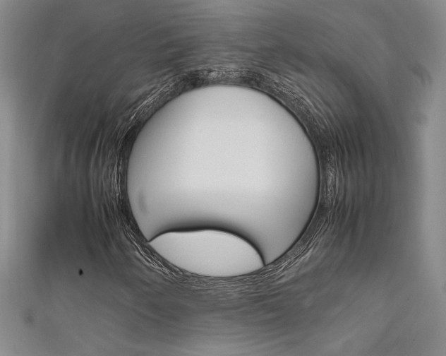 X0000111651250200907171051