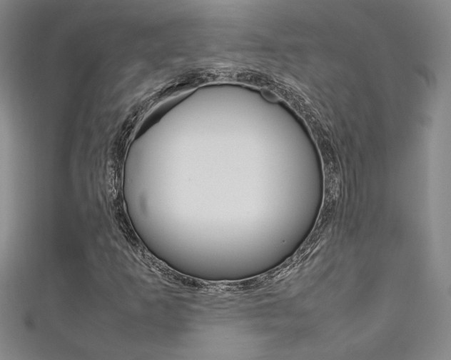 X0000111651253200907171051