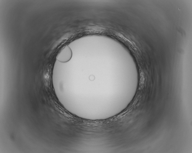 X0000111651254200907171051