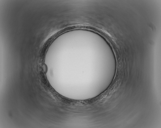 X0000111651255200907171051