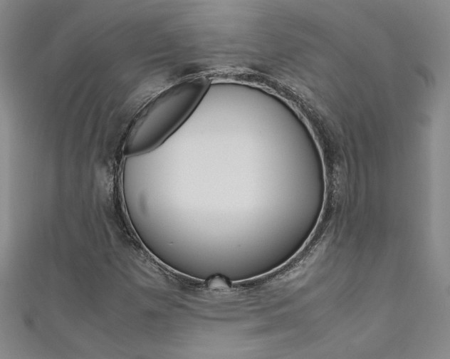 X0000111651257200907171051
