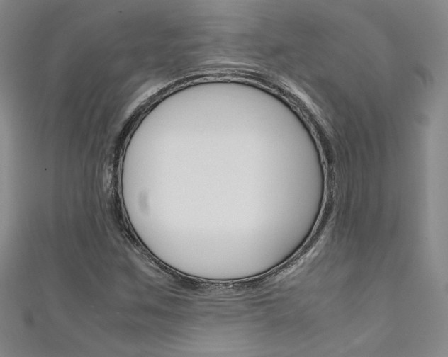 X0000111651259200907171051