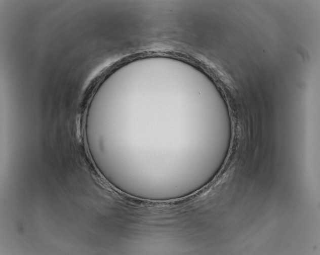 X0000111651262200907171051