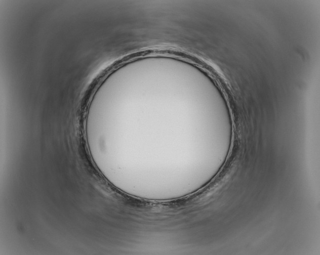 X0000111651263200907171051