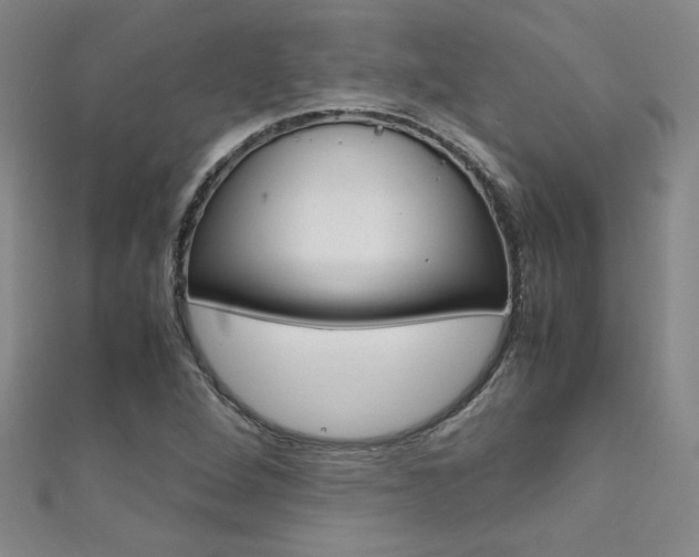 X0000111651264200907171051
