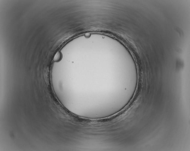 X0000111651265200907171051
