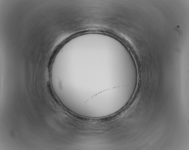X0000111651267200907171051