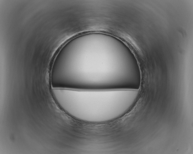 X0000111651268200907171051