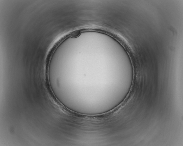X0000111651270200907171051
