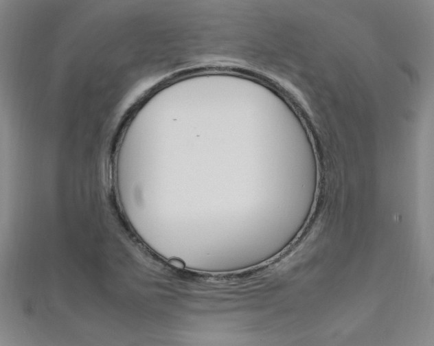 X0000111651271200907171051
