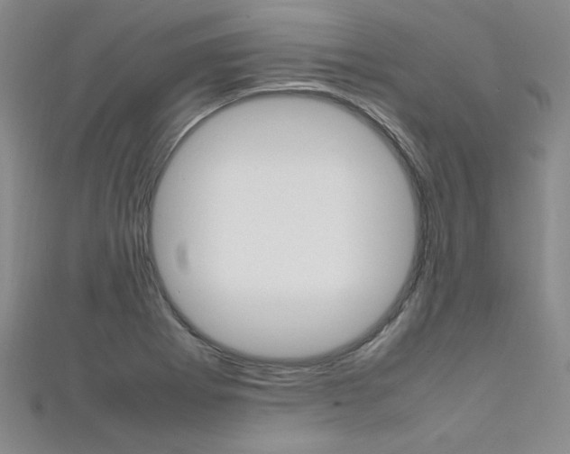 X0000111651273200907171051