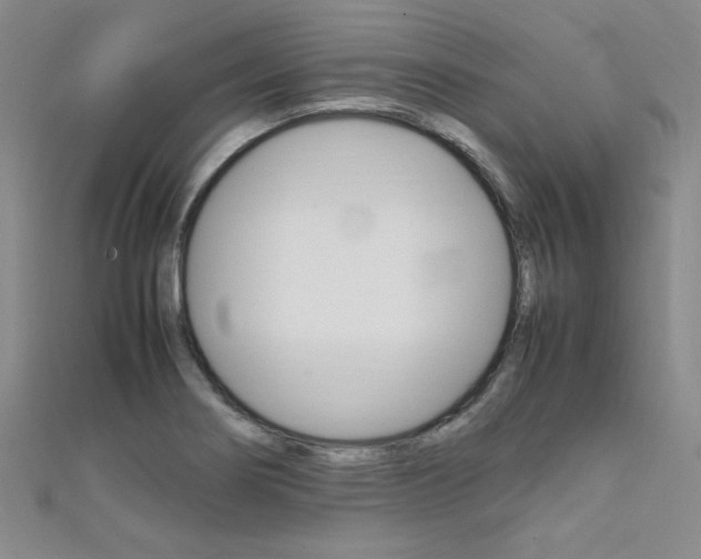X0000111651274200907171051