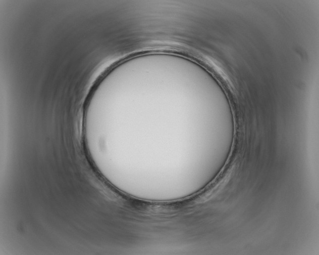 X0000111651275200907171051