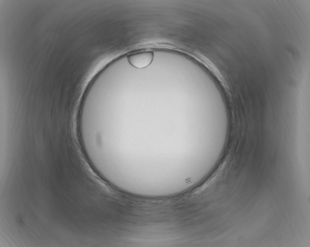 X0000111651277200907171051