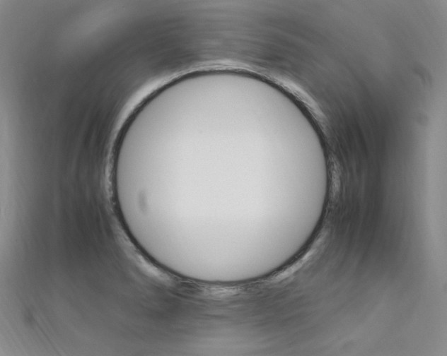 X0000111651278200907171051