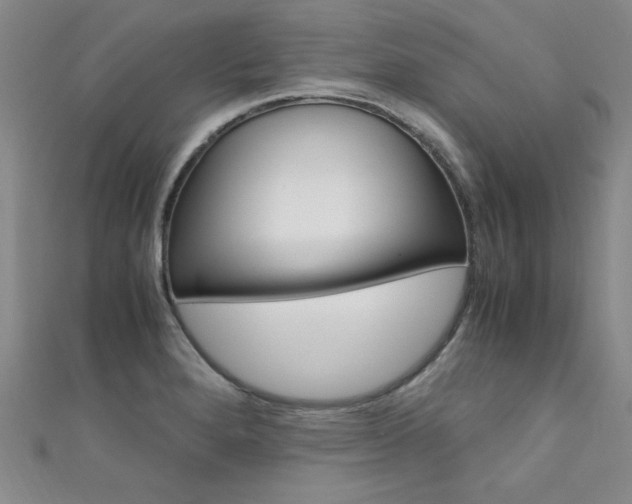 X0000111651280200907171051