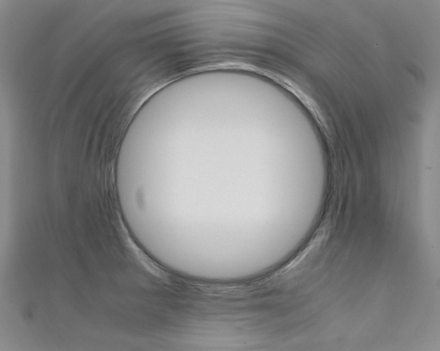 X0000111651281200907171051