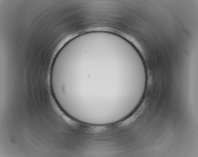 X0000111651282200907171051
