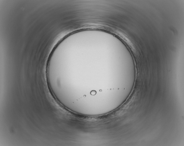 X0000111651283200907171051