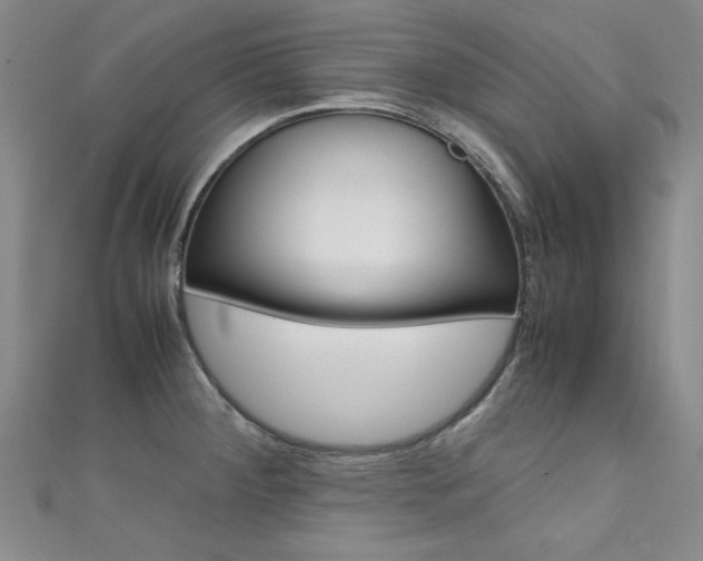 X0000111651284200907171051