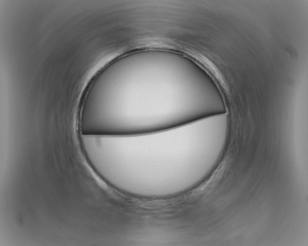 X0000111651285200907171051
