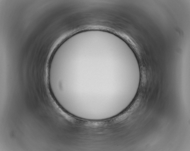 X0000111651286200907171051