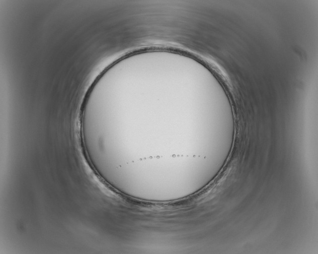 X0000111651287200907171051