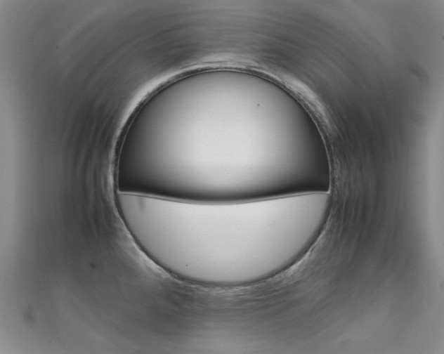 X0000111651288200907171051
