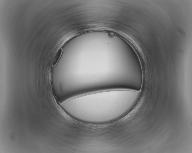 X0000111651289200907171051