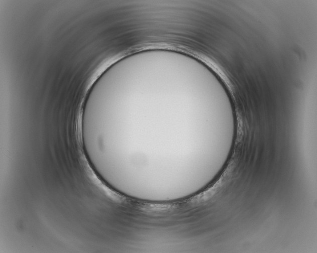 X0000111651290200907171051