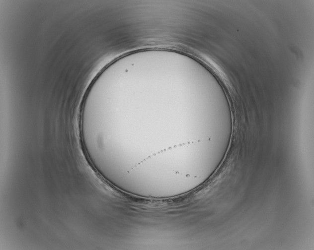 X0000111651291200907171051