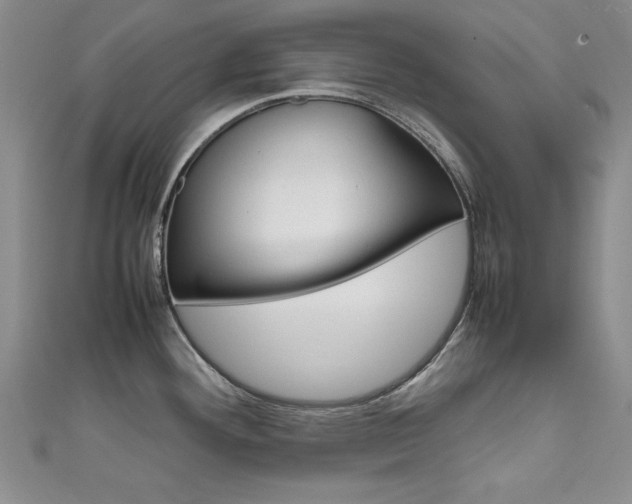 X0000111651292200907171051