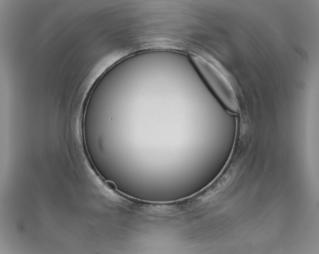 X0000111651293200907171051