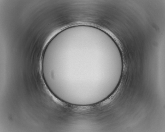 X0000111651294200907171051