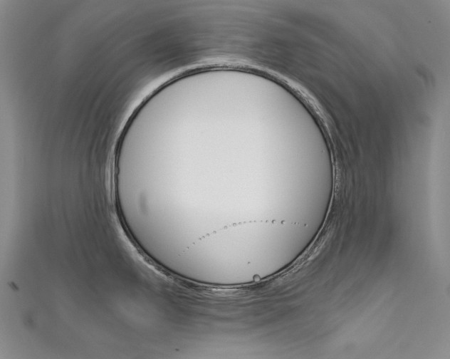 X0000111651295200907171051